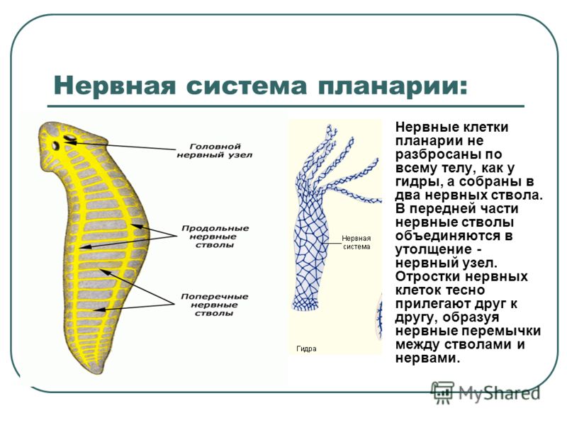 Kra30.cc