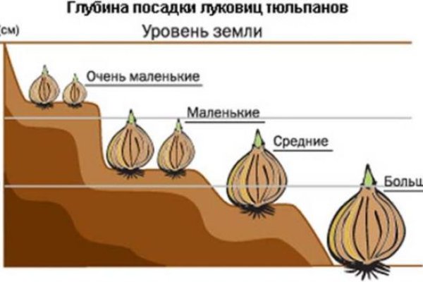 Кракен даркнет стор