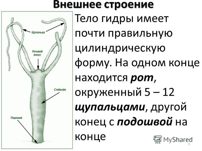 Кракен площадка зеркало